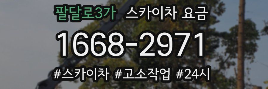 팔달로3가 스카이차 요금