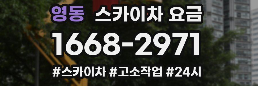 영동 스카이차 요금