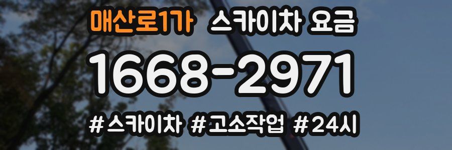매산로1가 스카이차 요금