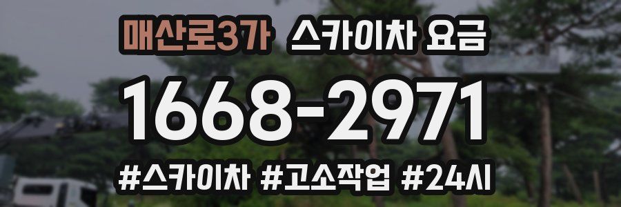 매산로3가 스카이차 요금