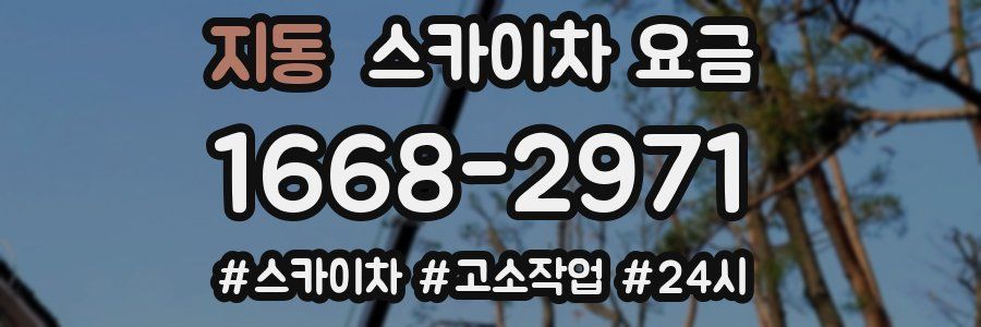 지동 스카이차 요금