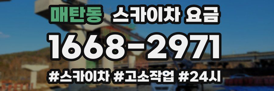 매탄동 스카이차 요금