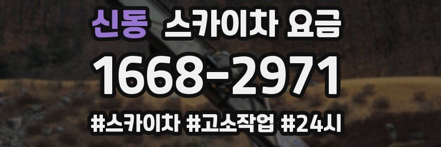 신동 스카이차 요금