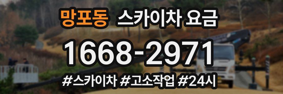 망포동 스카이차 요금