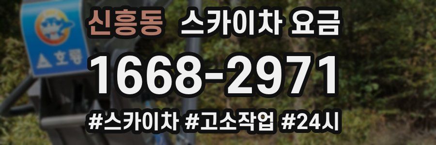 신흥동 스카이차 요금