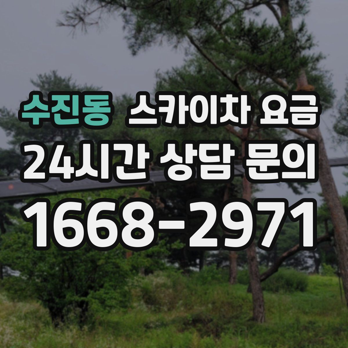 수진동 스카이차 요금