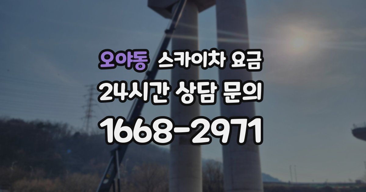 오야동 스카이차 요금