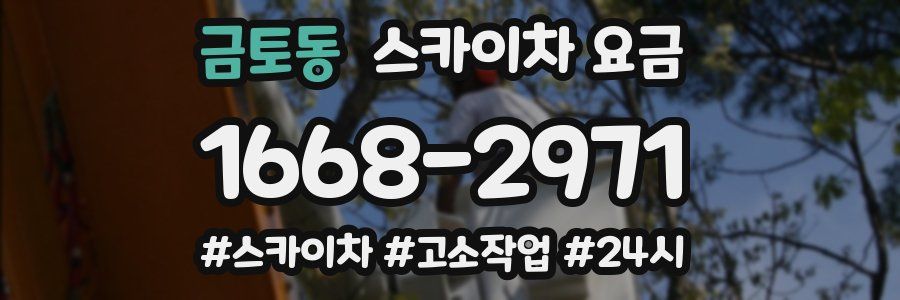 금토동 스카이차 요금