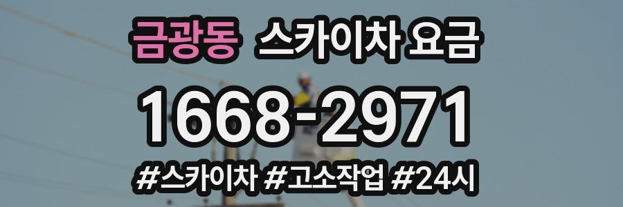금광동 스카이차 요금