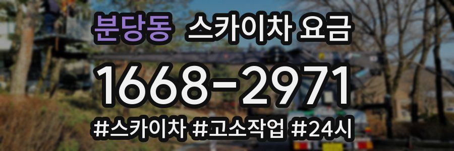 분당동 스카이차 요금
