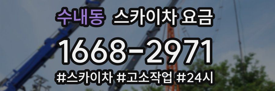 수내동 스카이차 요금