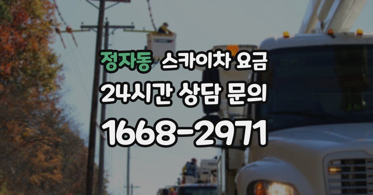 정자동 스카이차 요금