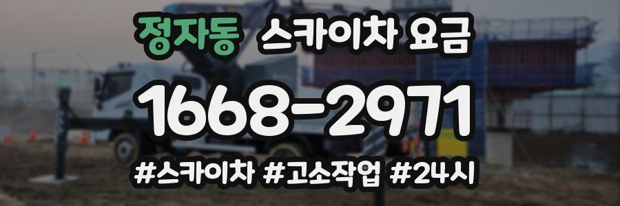 정자동 스카이차 요금