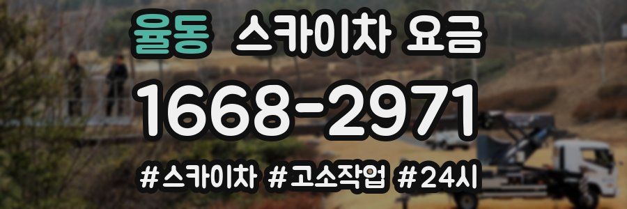 율동 스카이차 요금