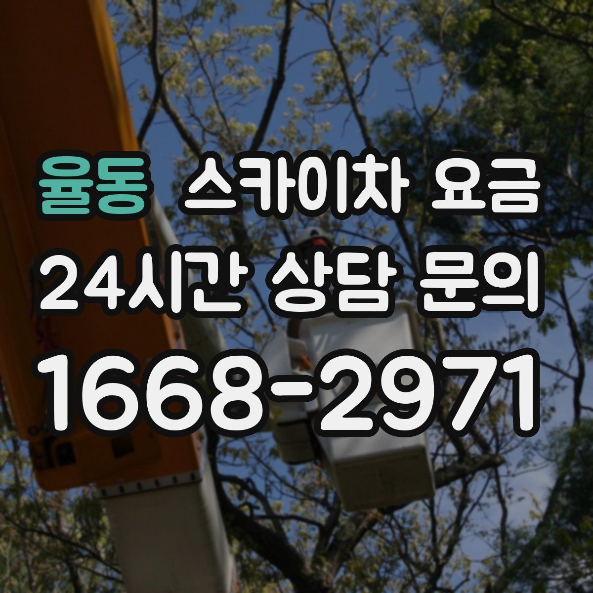 율동 스카이차 요금