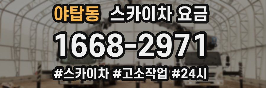 야탑동 스카이차 요금