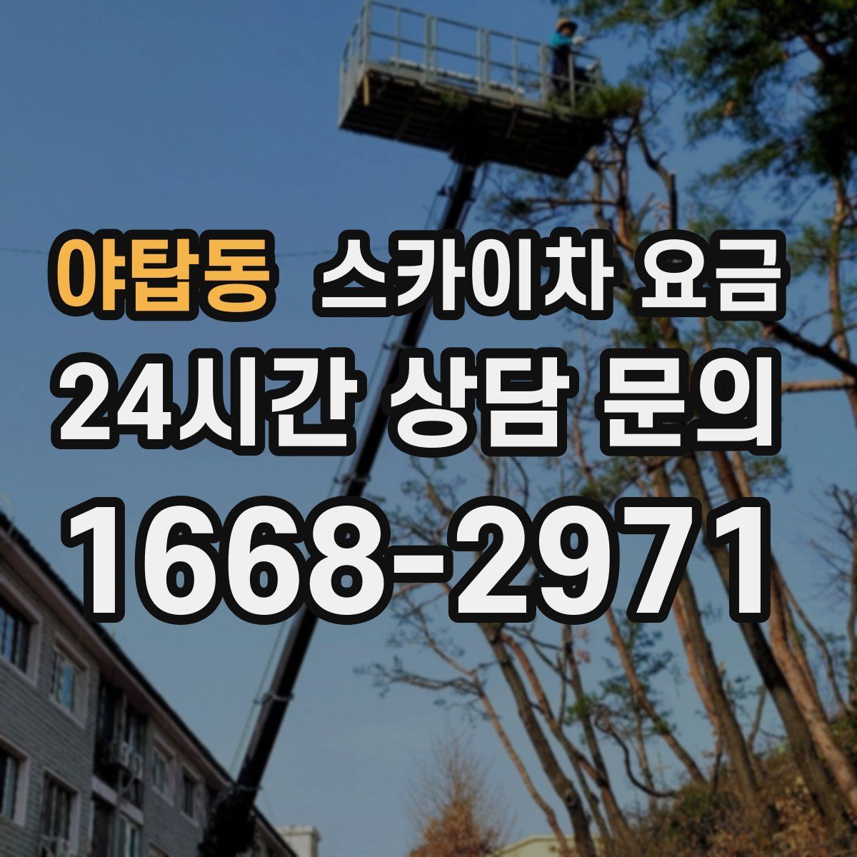 야탑동 스카이차 요금