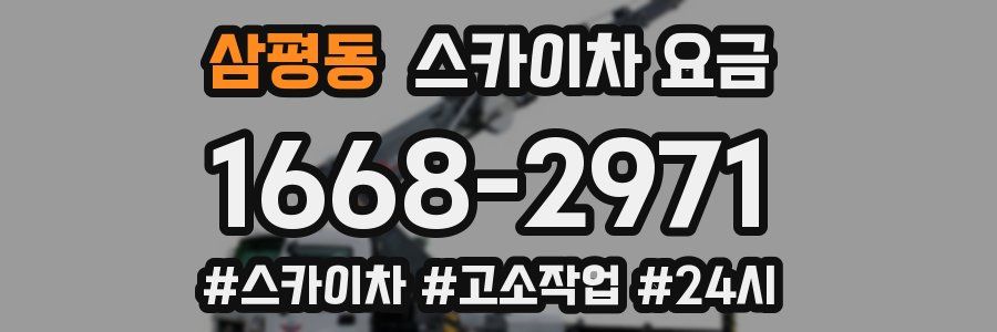 삼평동 스카이차 요금