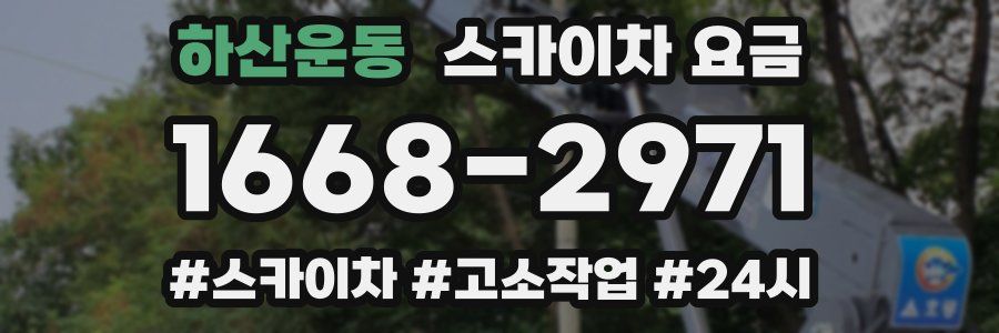하산운동 스카이차 요금