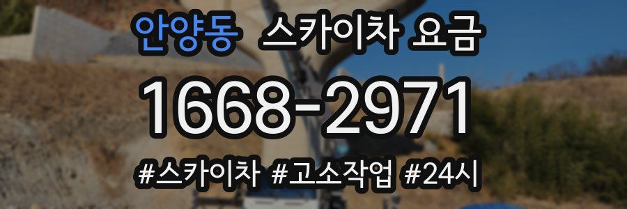 안양동 스카이차 요금