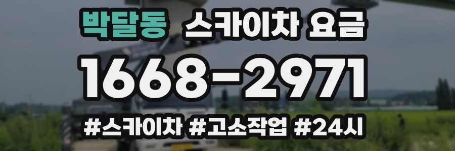 박달동 스카이차 요금