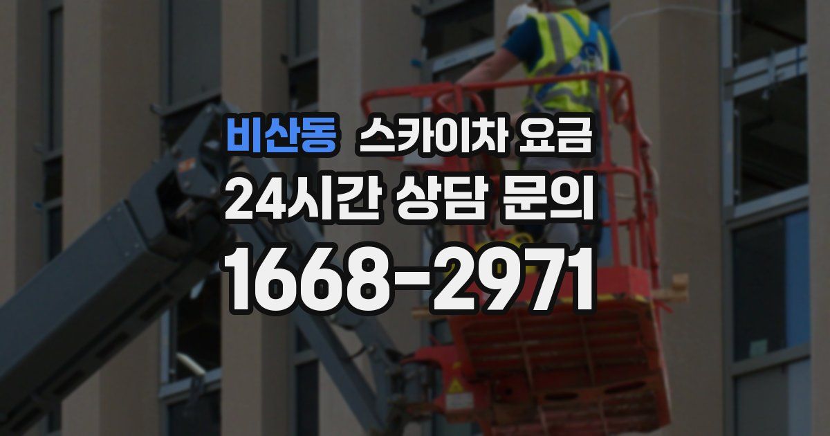 비산동 스카이차 요금