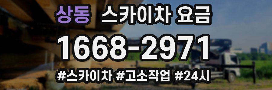 상동 스카이차 요금