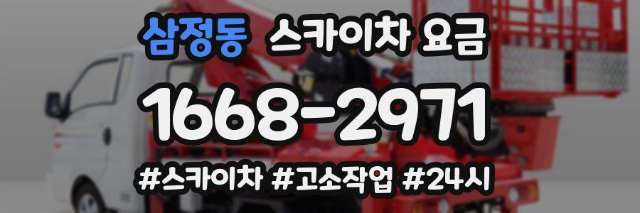 삼정동 스카이차 요금