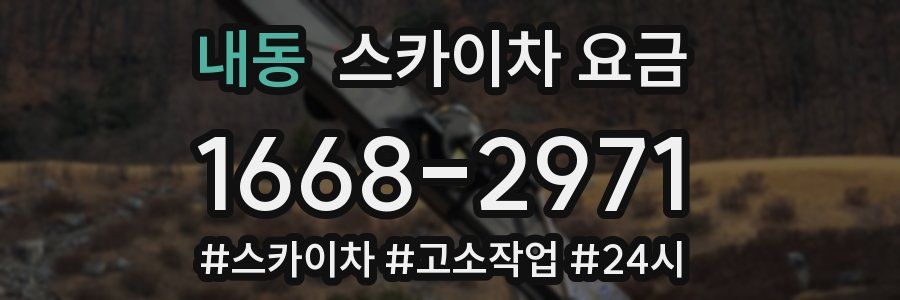 내동 스카이차 요금