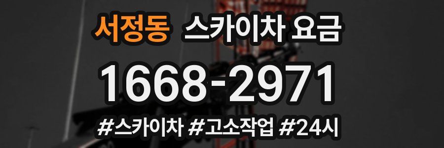 서정동 스카이차 요금