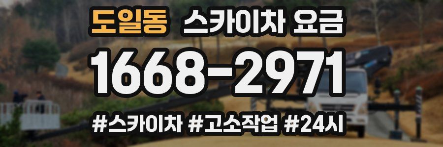 도일동 스카이차 요금