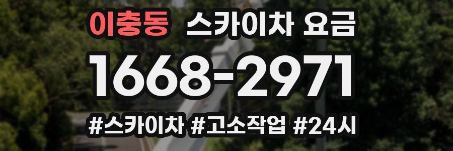 이충동 스카이차 요금