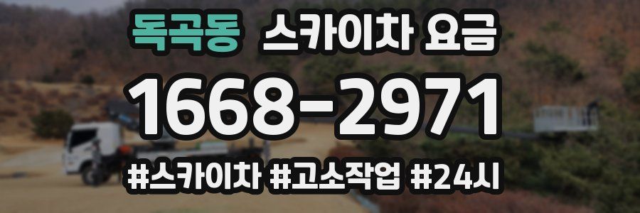 독곡동 스카이차 요금