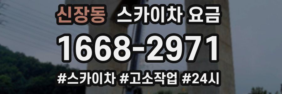 신장동 스카이차 요금