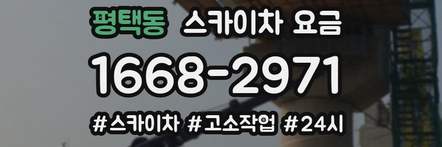 평택동 스카이차 요금