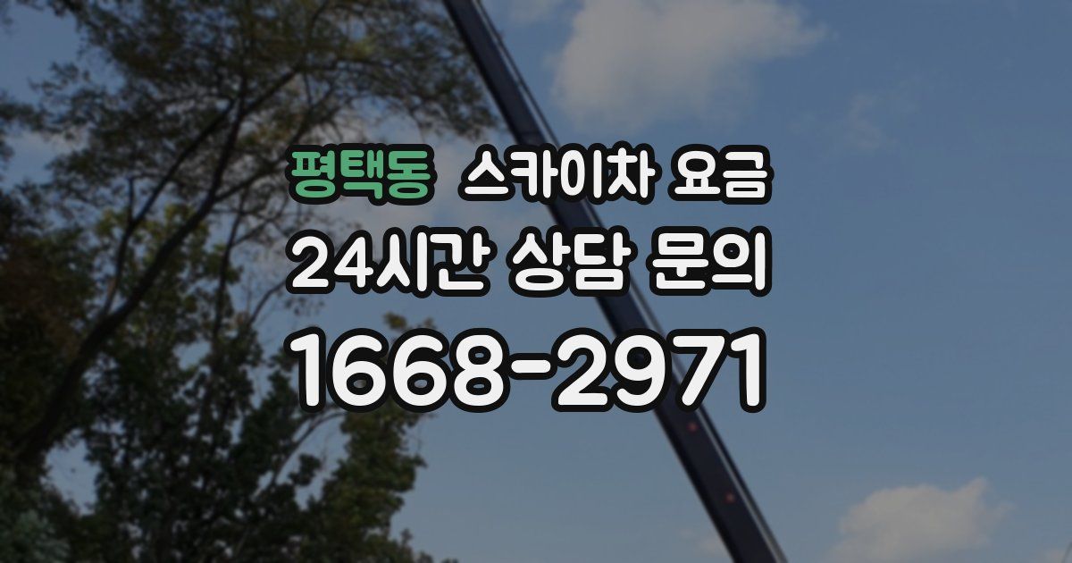 평택동 스카이차 요금