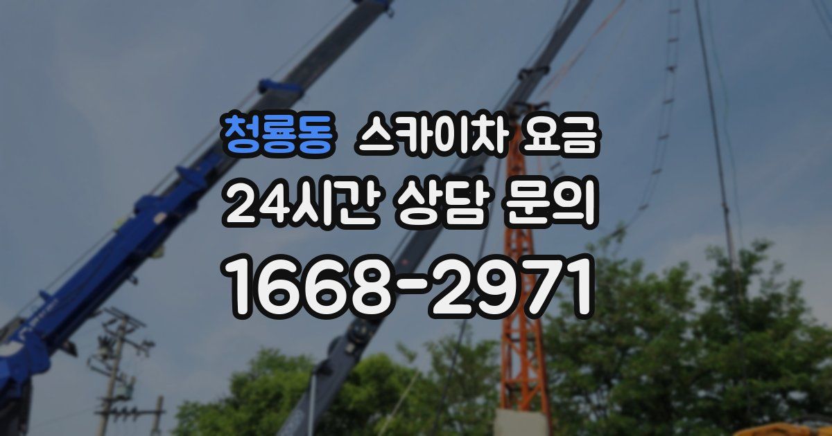 청룡동 스카이차 요금