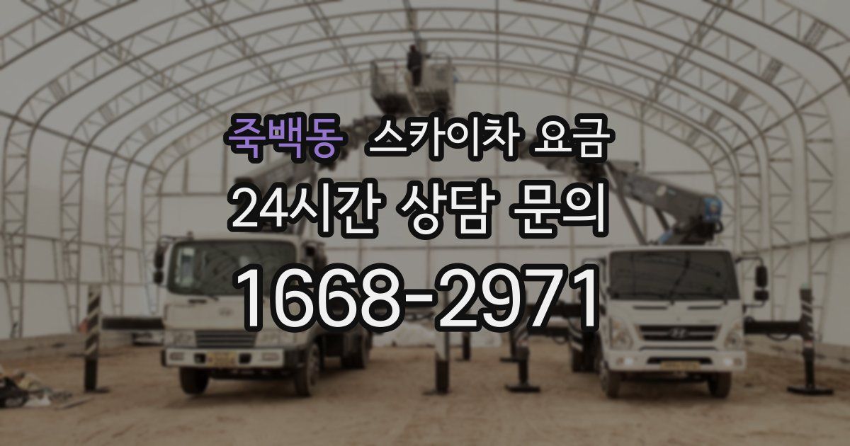 죽백동 스카이차 요금
