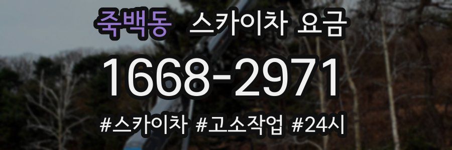 죽백동 스카이차 요금