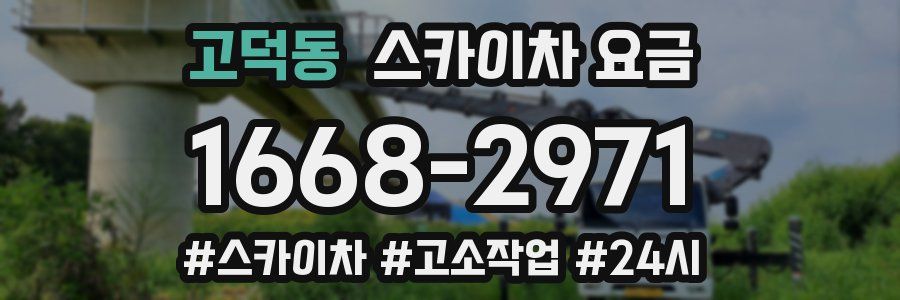고덕동 스카이차 요금