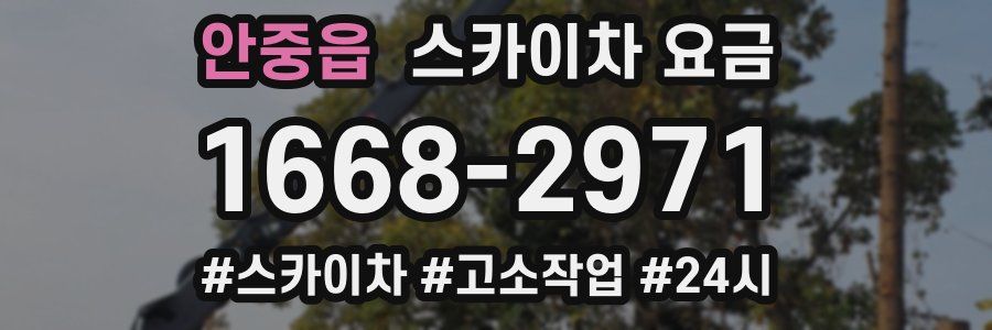 안중읍 스카이차 요금