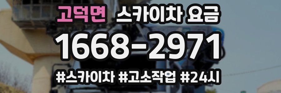 고덕면 스카이차 요금