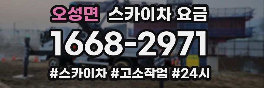 오성면 스카이차 요금