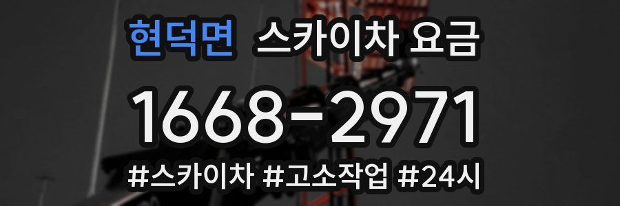 현덕면 스카이차 요금