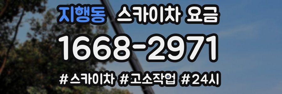 지행동 스카이차 요금