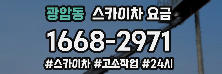 광암동 스카이차 요금