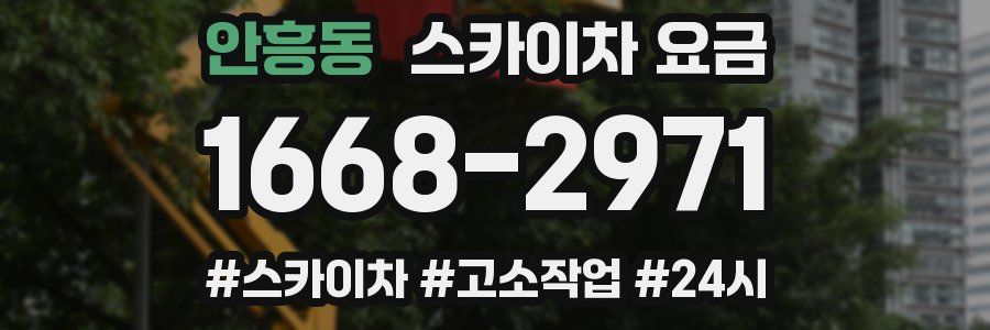 안흥동 스카이차 요금