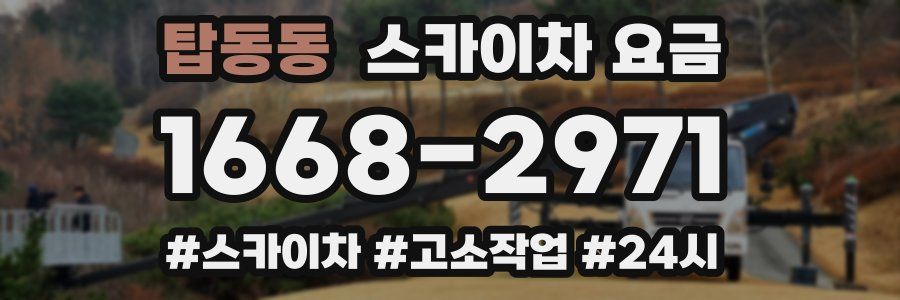 탑동동 스카이차 요금