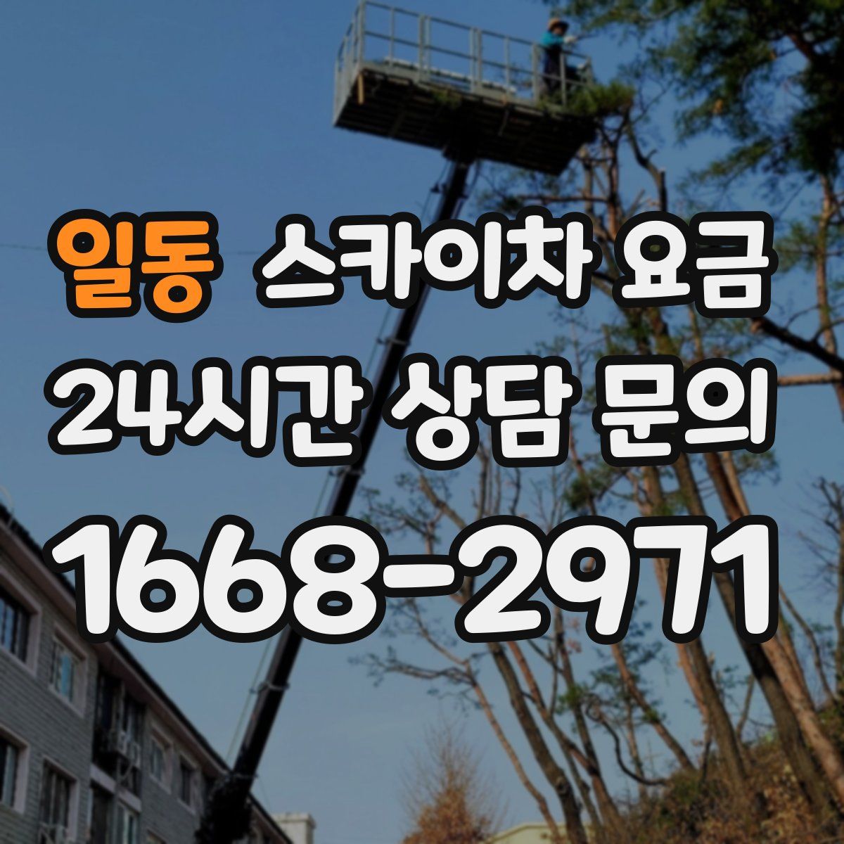 일동 스카이차 요금