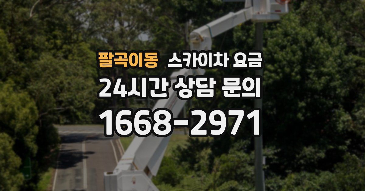 팔곡이동 스카이차 요금